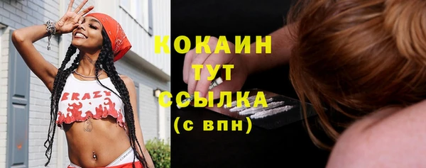индика Костерёво