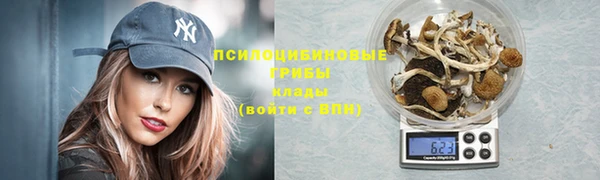 бутират Коряжма