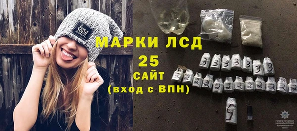 индика Костерёво