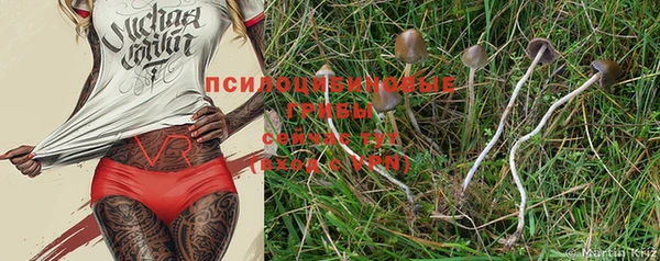 индика Костерёво