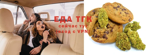 индика Костерёво