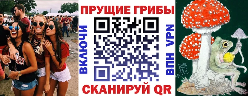 Галлюциногенные грибы MAGIC MUSHROOMS  Купить где  Давлеканово 