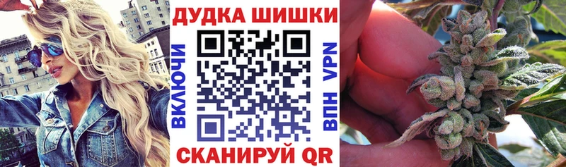 Бошки Шишки планчик  Купить  Давлеканово 